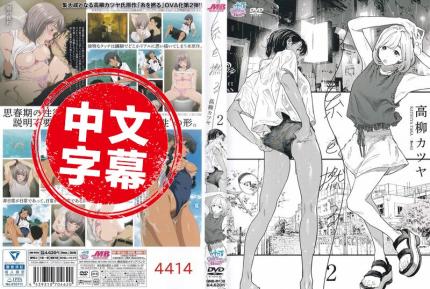 撚線 2