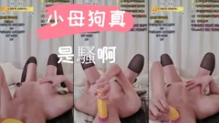 kbj-24110274 小母狗真是騷啊