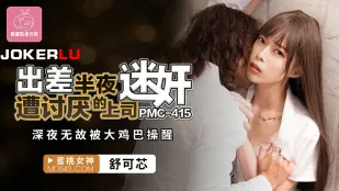 PMC-415 出差半夜遭討厭的上司迷X 深夜無故被大雞巴操醒